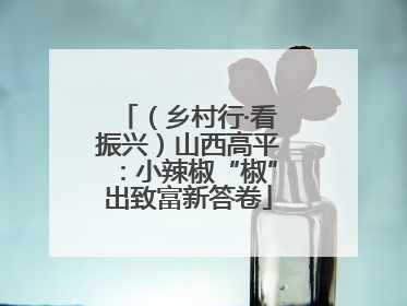 （乡村行·看振兴）山西高平：小辣椒“椒”出致富新答卷