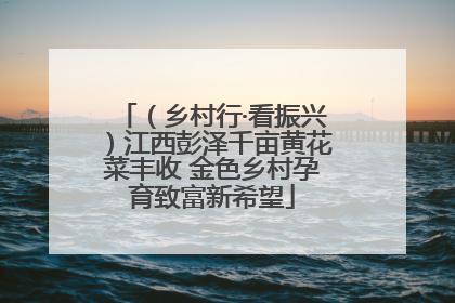 （乡村行·看振兴）江西彭泽千亩黄花菜丰收 金色乡村孕育致富新希望