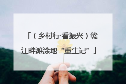 （乡村行·看振兴）赣江畔滩涂地“重生记”