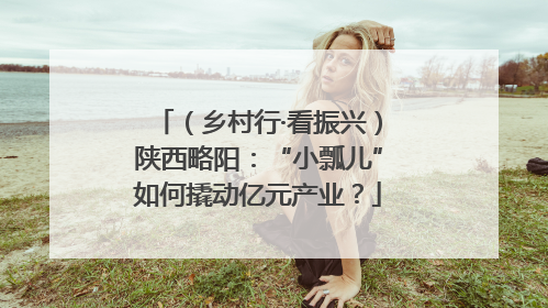 （乡村行·看振兴）陕西略阳：“小瓢儿”如何撬动亿元产业？