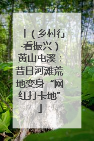 （乡村行·看振兴）黄山屯溪：昔日河滩荒地变身“网红打卡地”