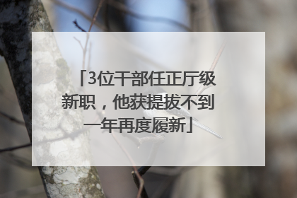 3位干部任正厅级新职，他获提拔不到一年再度履新
