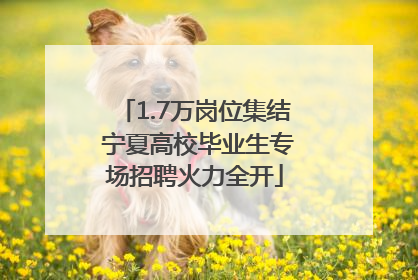 1.7万岗位集结 宁夏高校毕业生专场招聘火力全开