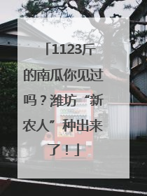 1123斤的南瓜你见过吗？潍坊“新农人”种出来了！