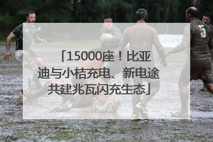 15000座！比亚迪与小桔充电、新电途共建兆瓦闪充生态