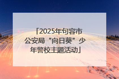 2025年句容市公安局“向日葵”少年警校主题活动