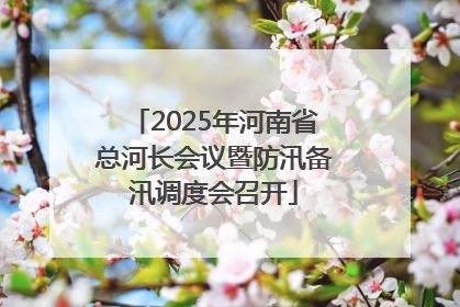 2025年河南省总河长会议暨防汛备汛调度会召开
