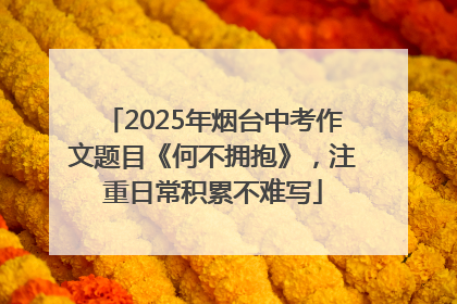 2025年烟台中考作文题目《何不拥抱》，注重日常积累不难写