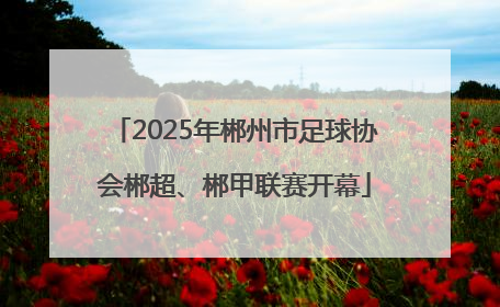 2025年郴州市足球协会郴超、郴甲联赛开幕