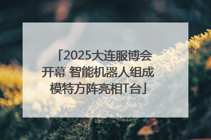 2025大连服博会开幕 智能机器人组成模特方阵亮相T台
