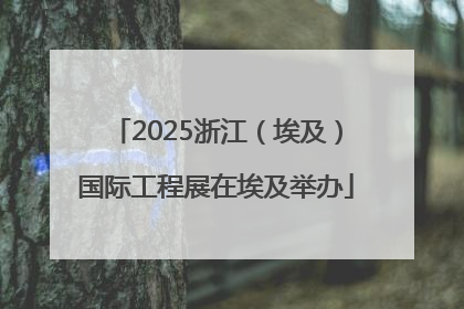 2025浙江（埃及）国际工程展在埃及举办