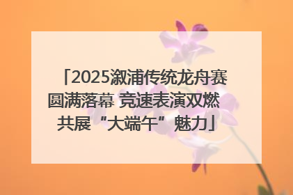 2025溆浦传统龙舟赛圆满落幕 竞速表演双燃 共展“大端午”魅力