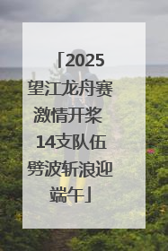 2025望江龙舟赛激情开桨 14支队伍劈波斩浪迎端午