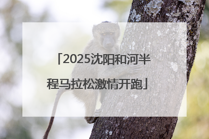 2025沈阳和河半程马拉松激情开跑