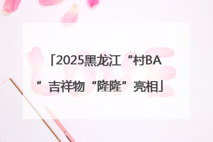 2025黑龙江“村BA”吉祥物“隆隆”亮相