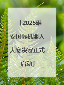 2025雄安国际机器人大赛决赛正式启动