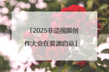 2025非遗视频创作大会在婺源启幕