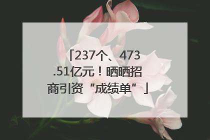 237个、473.51亿元！晒晒招商引资“成绩单”