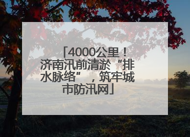 4000公里！济南汛前清淤“排水脉络”，筑牢城市防汛网