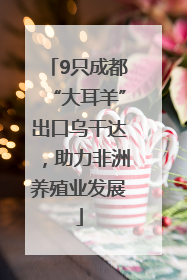 9只成都“大耳羊”出口乌干达，助力非洲养殖业发展