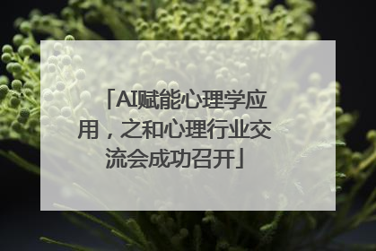 AI赋能心理学应用，之和心理行业交流会成功召开